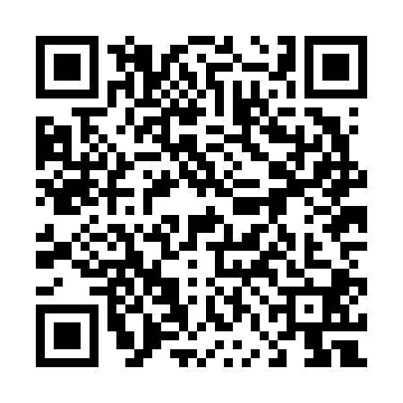 QR code for 46JF006