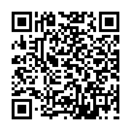 QR code for 46JF459