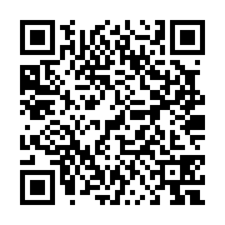 QR code for 46JP386