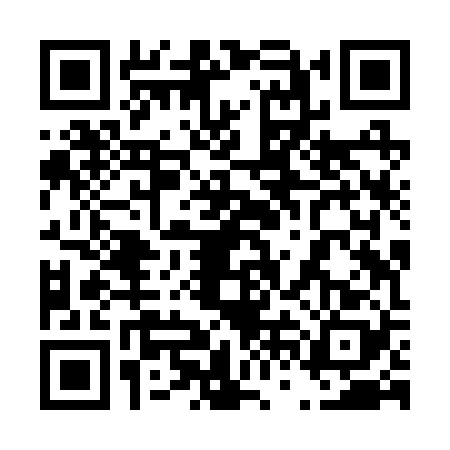 QR code for 46JR281