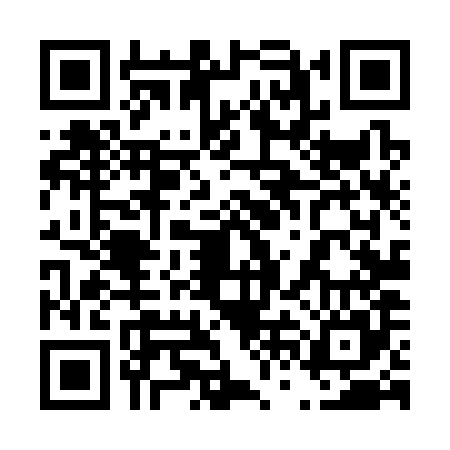 QR code for 46L385M