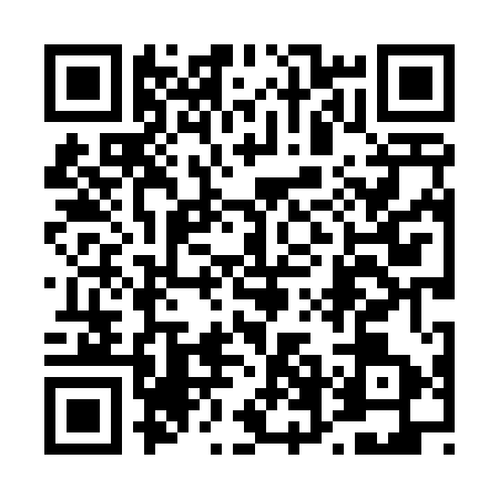 QR code for 46L4534