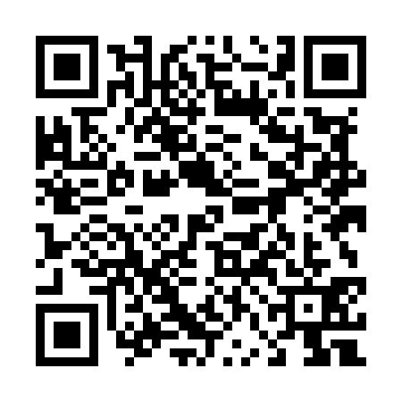 QR code for 46MM313