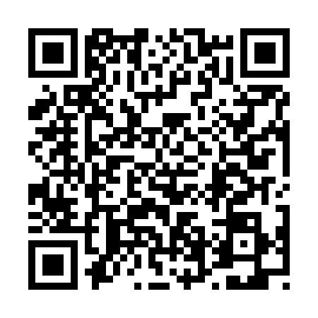 QR code for 46MN384