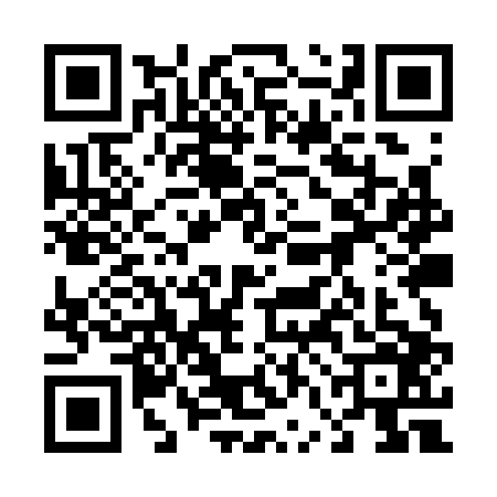 QR code for 46MS060