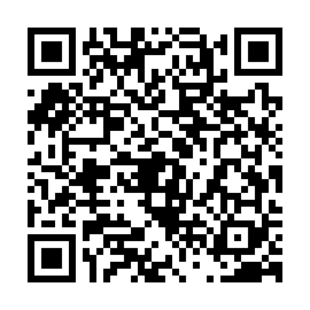 QR code for 46MS691