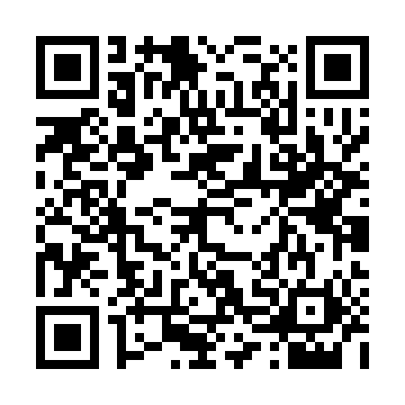 QR code for 46MSP04
