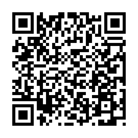 QR code for 46N028T