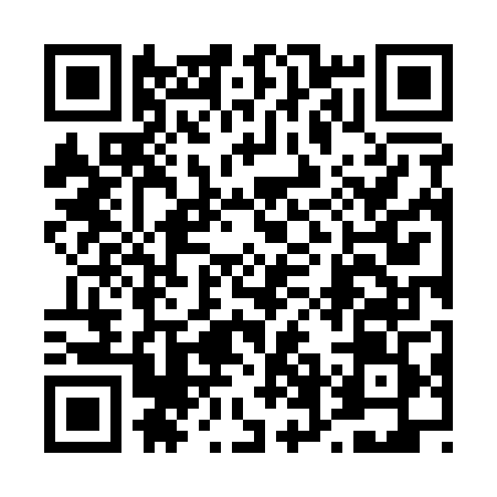 QR code for 46N109M