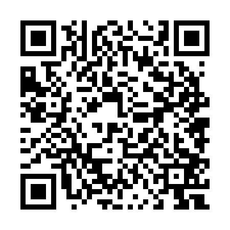QR code for 46N2039