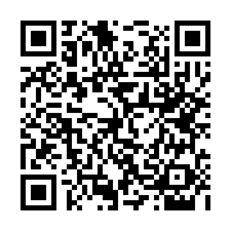 QR code for 46N378K