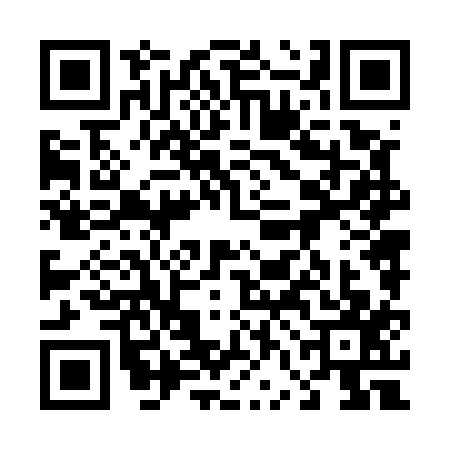 QR code for 46N5173