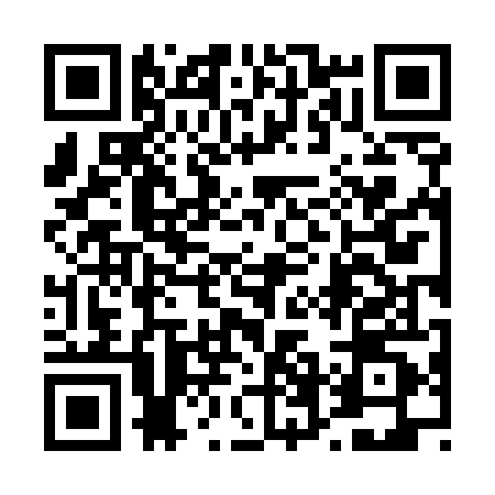 QR code for 46N540R