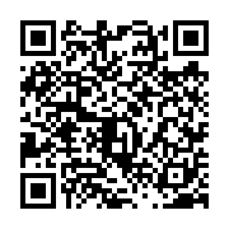QR code for 46N6519
