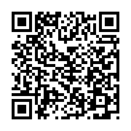 QR code for 46N841P