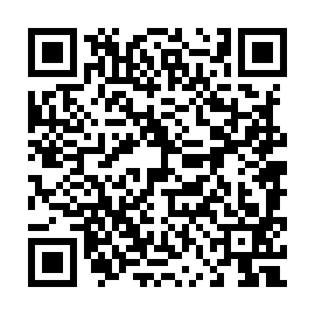 QR code for 46N9938