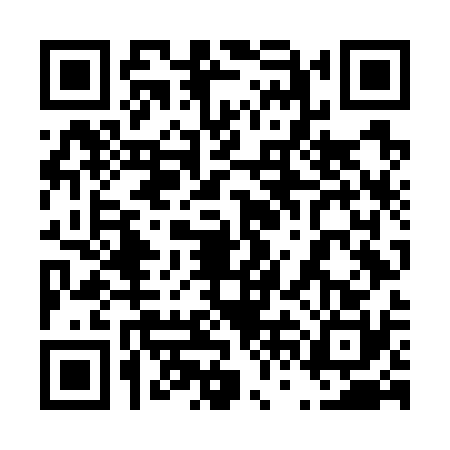 QR code for 46NG303