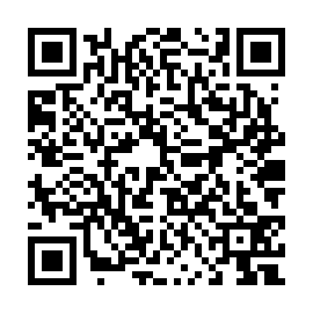 QR code for 46NR335