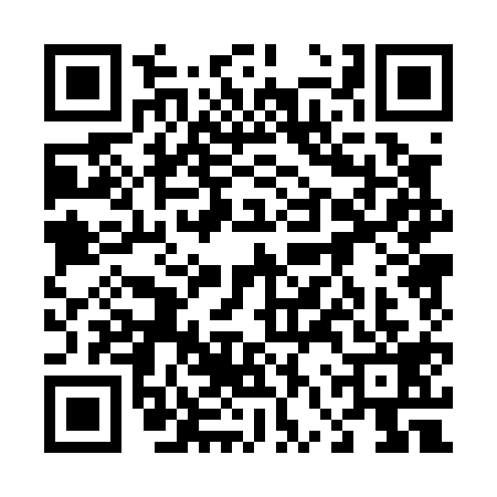 QR code for 46P0199