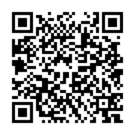 QR code for 46P032H