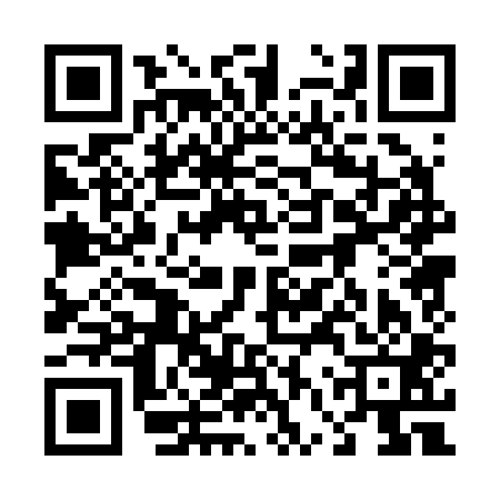 QR code for 46P201H