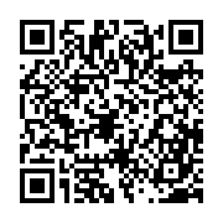 QR code for 46P266M