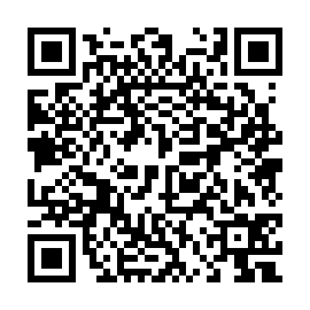 QR code for 46P334F