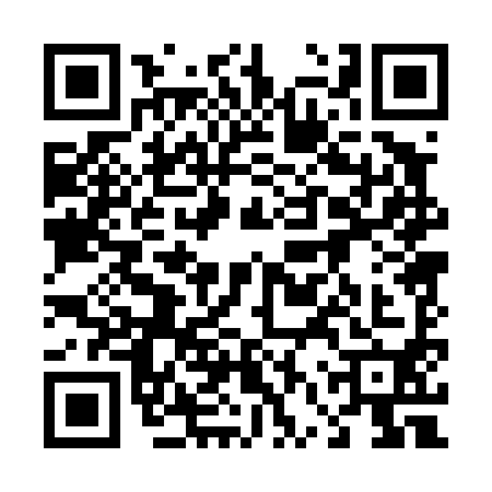 QR code for 46P4906
