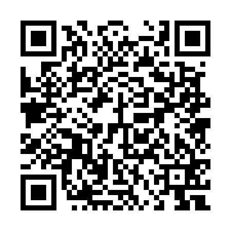 QR code for 46P561M