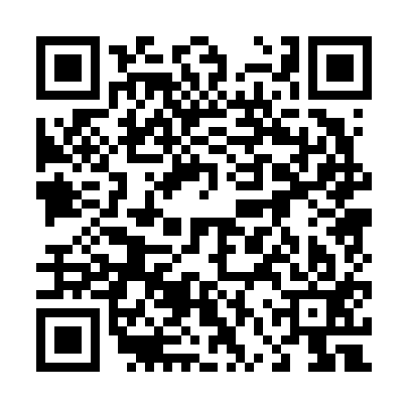 QR code for 46P613F
