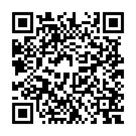 QR code for 46PM426