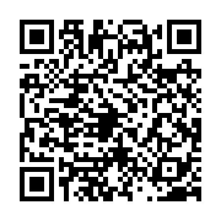 QR code for 46PR395