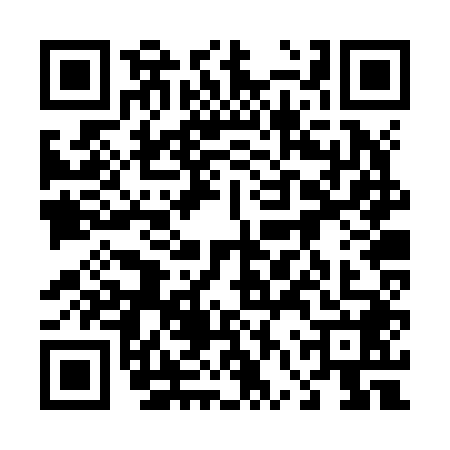 QR code for 46RZ487