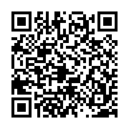 QR code for 46S0163