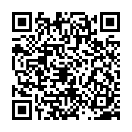 QR code for 46SJ238