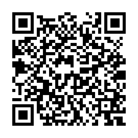 QR code for 46SZT00