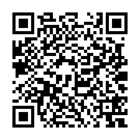 QR code for 46TP284