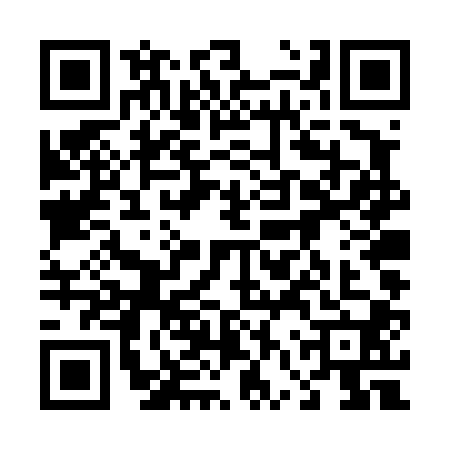 QR code for 46TT000