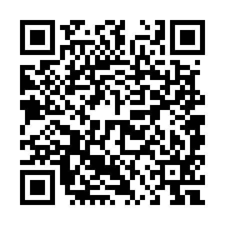 QR code for 46V595M