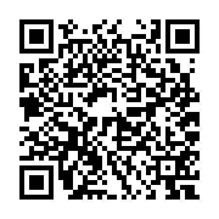 QR code for 46VC513
