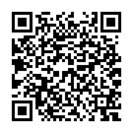 QR code for 46VG009