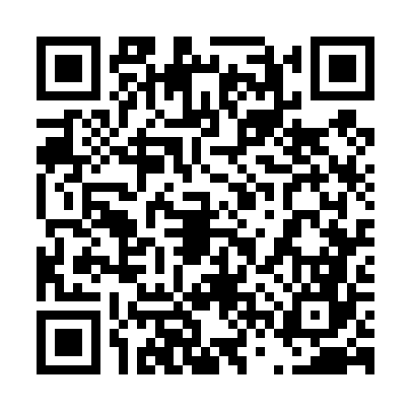 QR code for 46W466C
