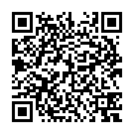 QR code for 46YF386