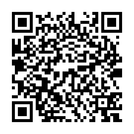 QR code for 46YR315