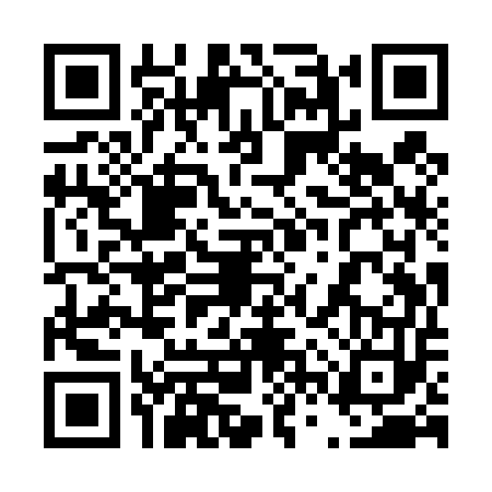 QR code for 46YT534