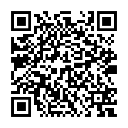 QR code for 46YZB11
