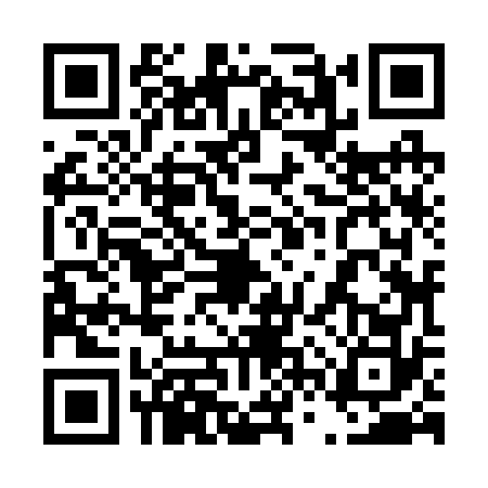 QR code for 46Z2729