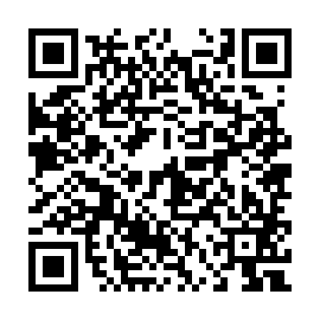 QR code for 46Z383H