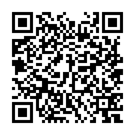 QR code for 46Z9733