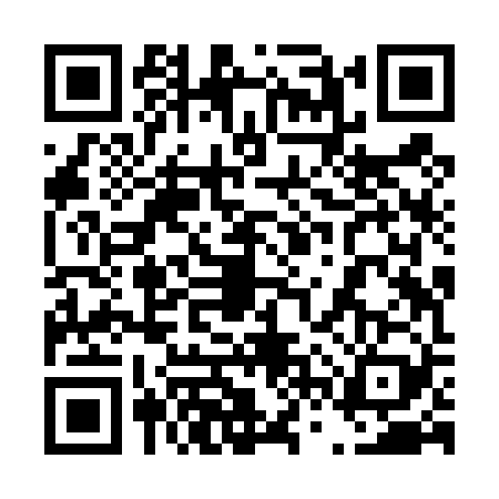 QR code for 46ZT291